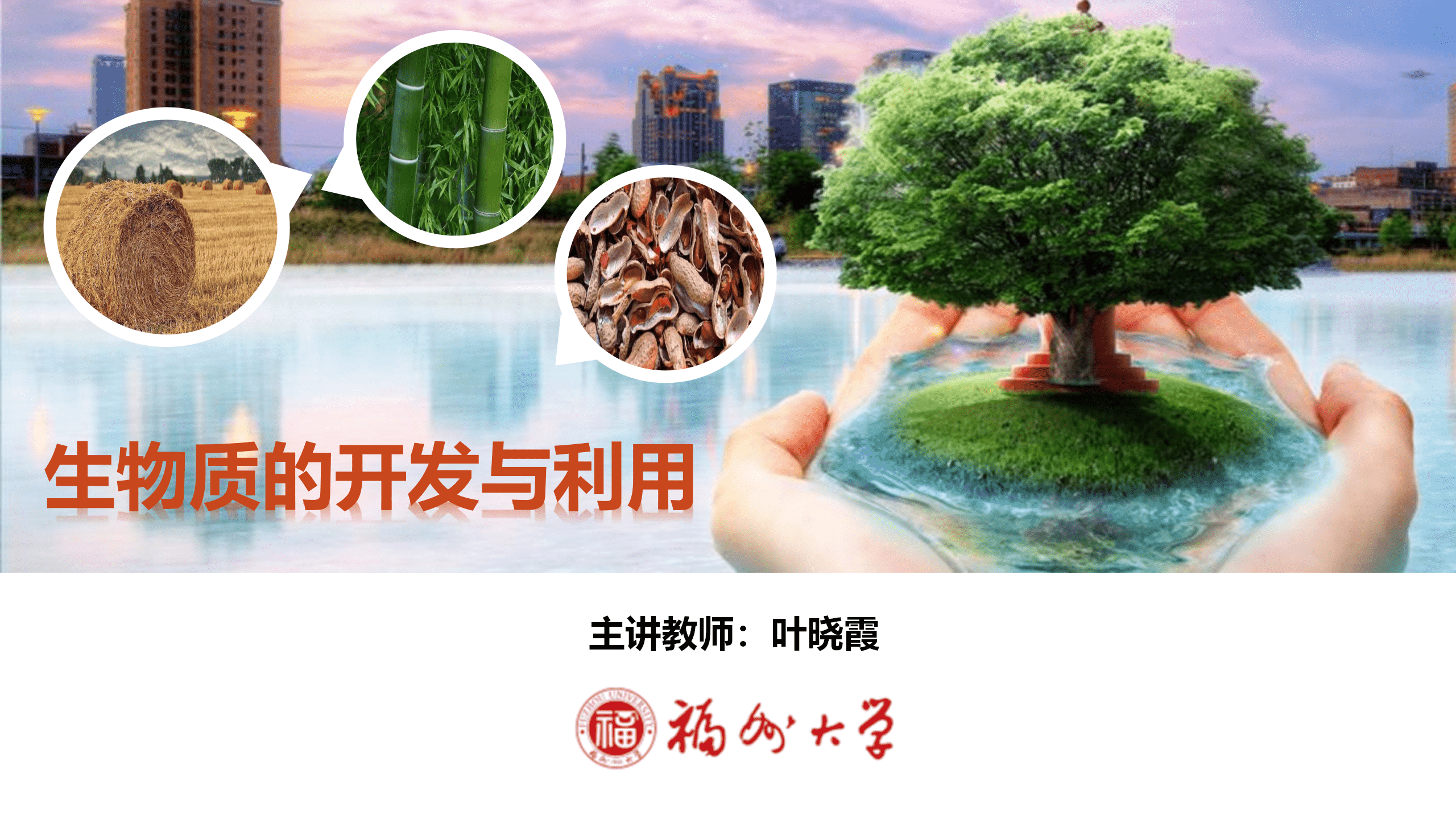 生物质的开发与利用