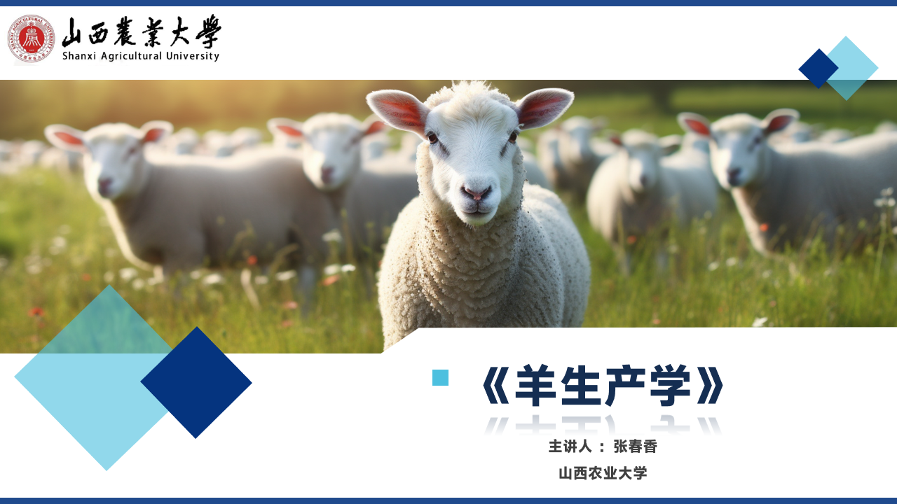 羊生产学