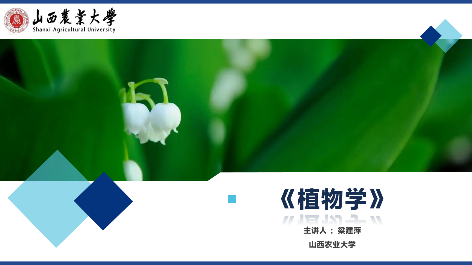 植物学