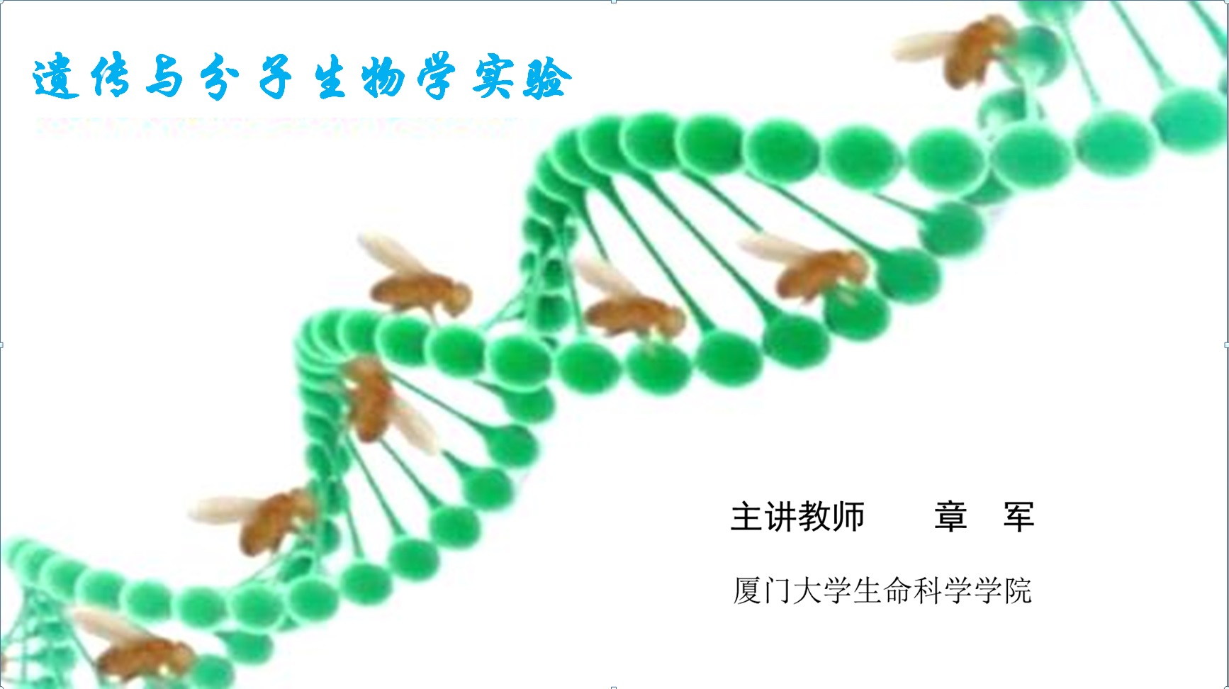 遗传与分子生物学实验
