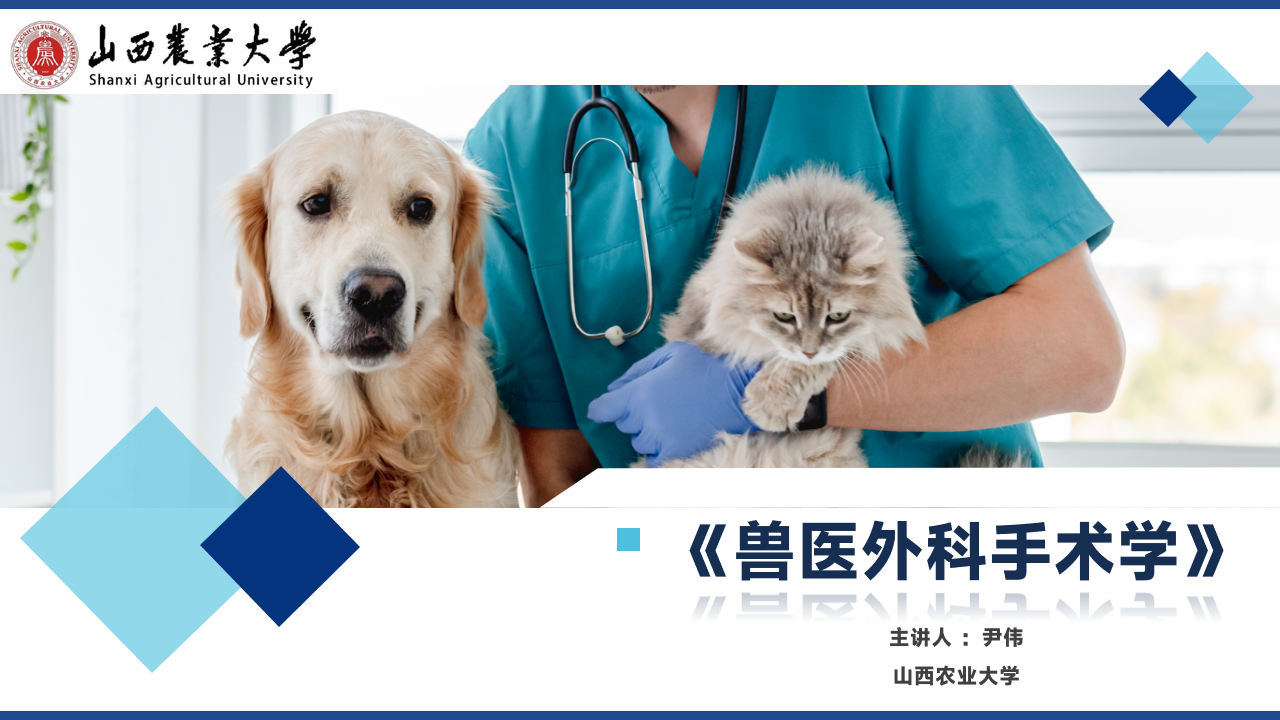兽医外科手术学